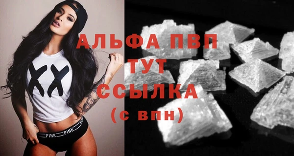 стафф Алексин