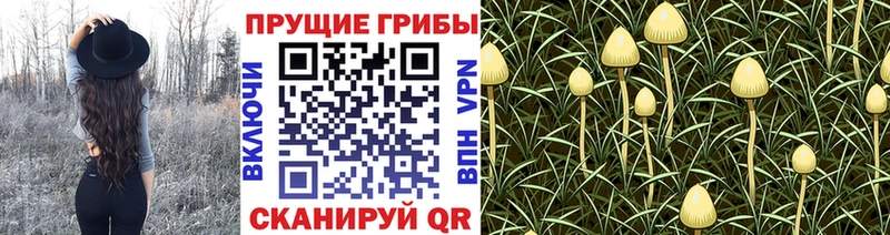 Галлюциногенные грибы ЛСД кракен зеркало Дудинка